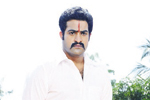 NTR Photos in Dammu